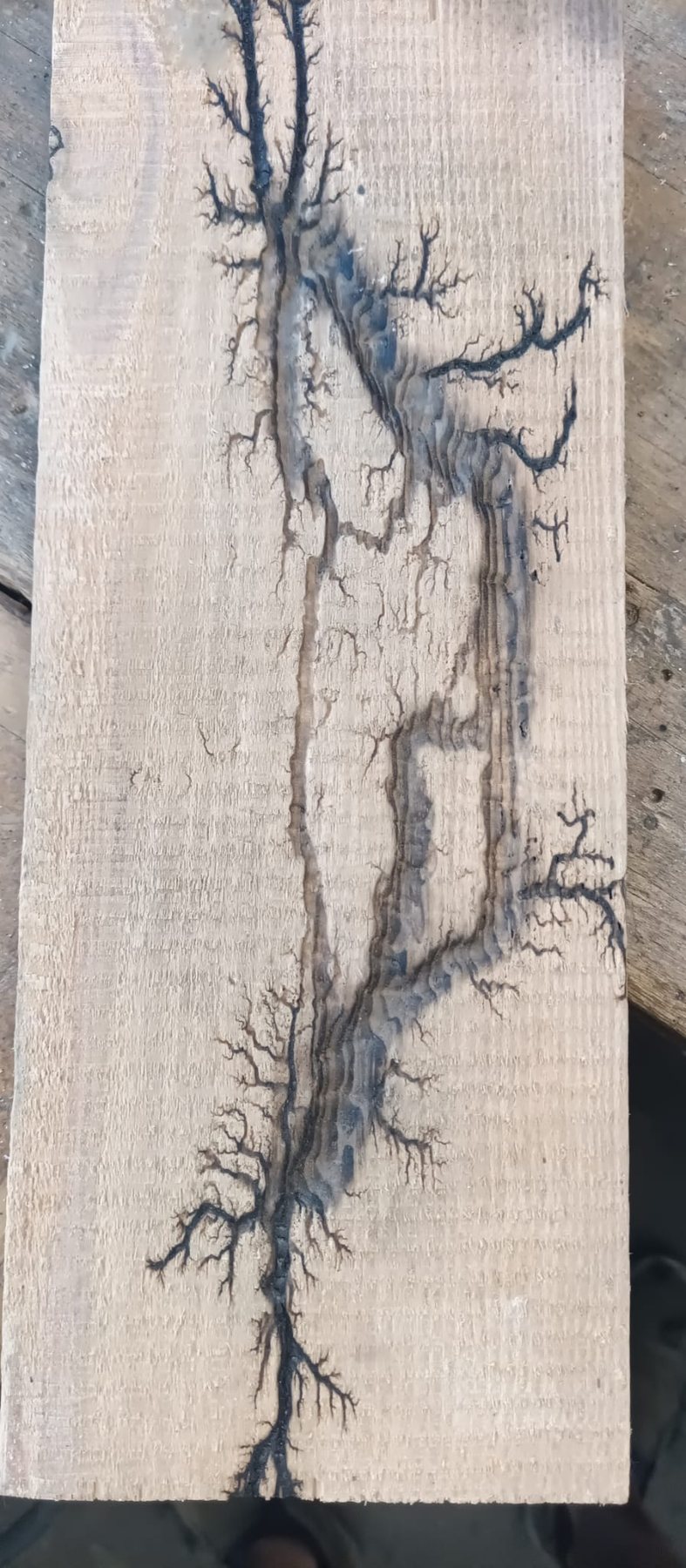 Brett mit eingebrannter Lichtenbergfigur, von oben nach unten verzweigt